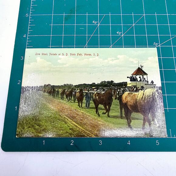 1909 Antique Postcard Live Stock Parade at South Dakota State Fair Huron SD - Picture 7 of 7